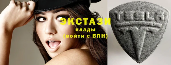 гидра Надым
