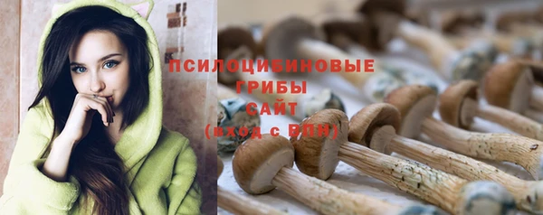 амф Нефтегорск