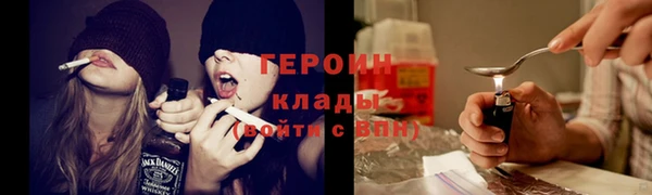 гидра Надым